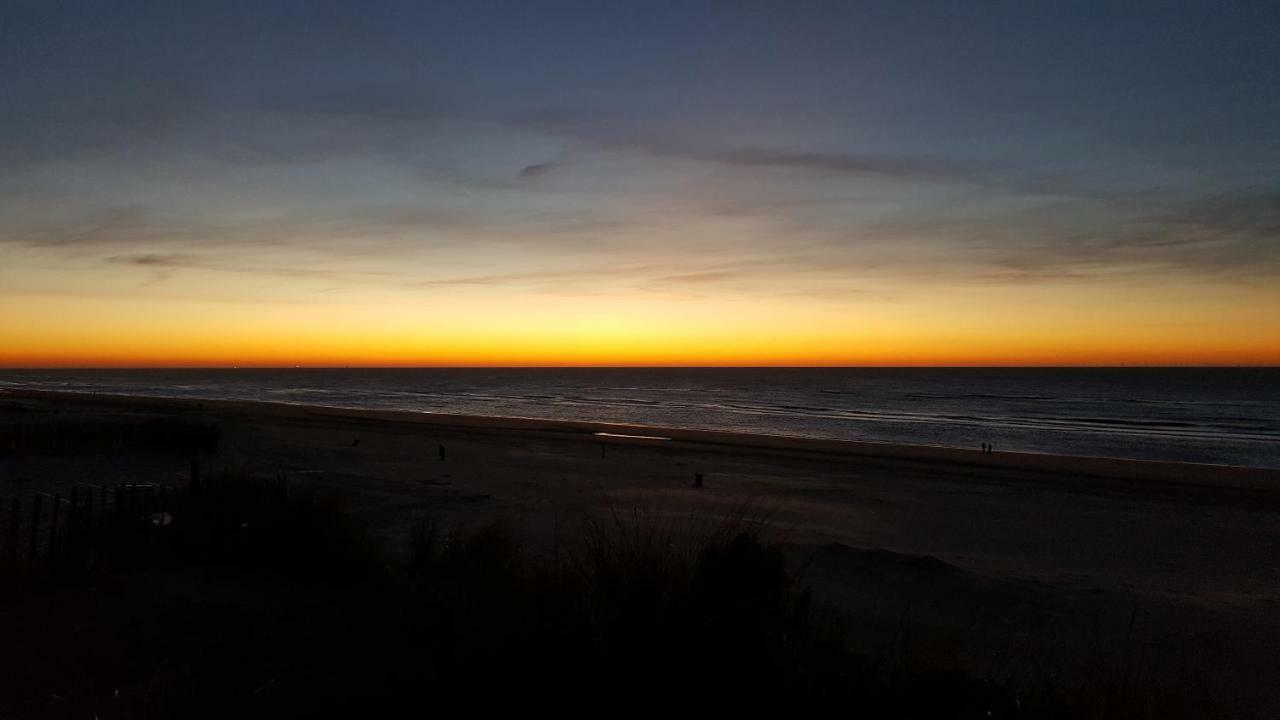 Near The Beach Zandvoort Extérieur photo
